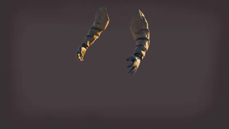 First-Person Arms